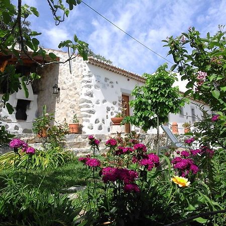 Quinta Do Tempo Turismo Rural 蒙希克 外观 照片