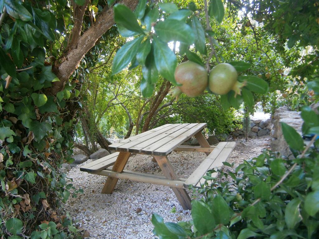 Quinta Do Tempo Turismo Rural 蒙希克 外观 照片