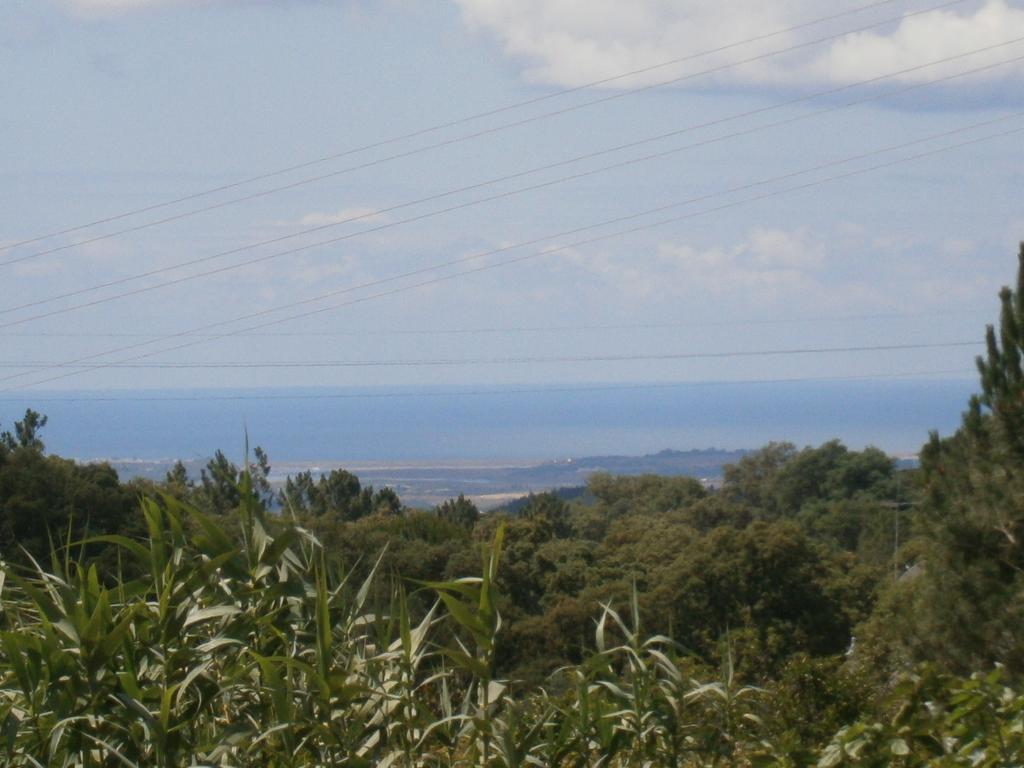 Quinta Do Tempo Turismo Rural 蒙希克 外观 照片