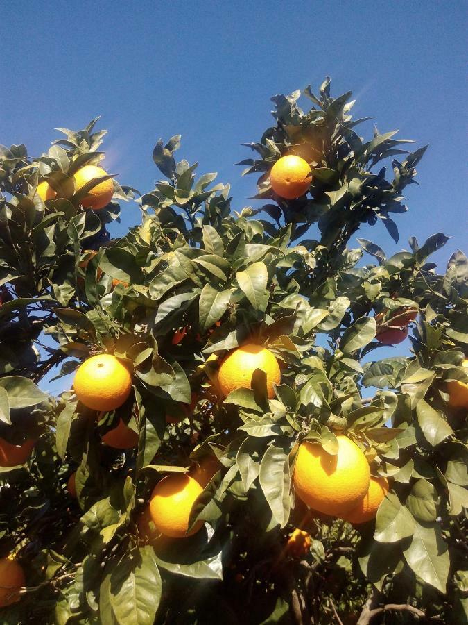 Quinta Do Tempo Turismo Rural 蒙希克 外观 照片
