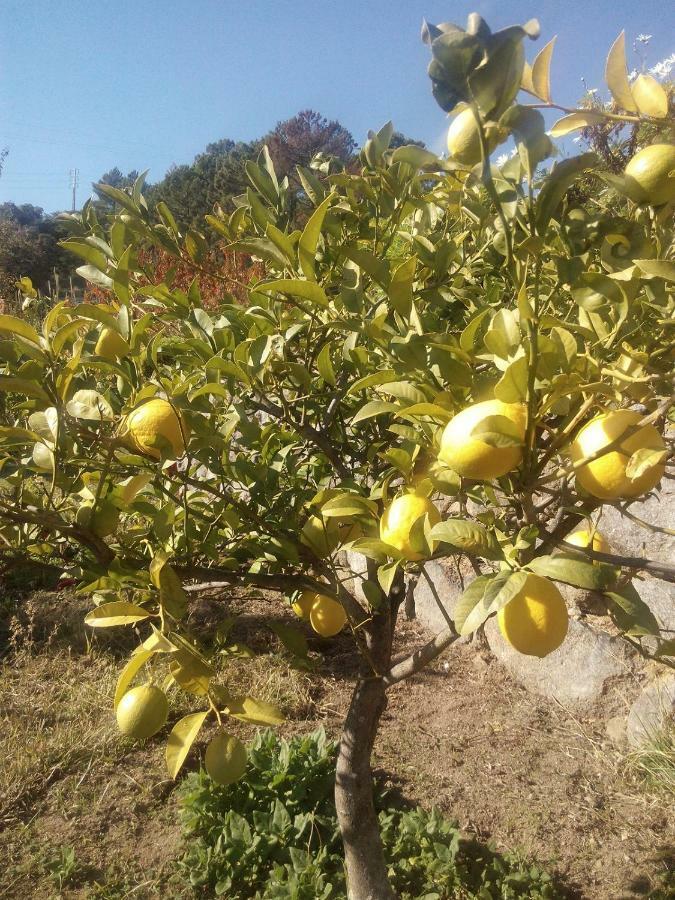 Quinta Do Tempo Turismo Rural 蒙希克 外观 照片