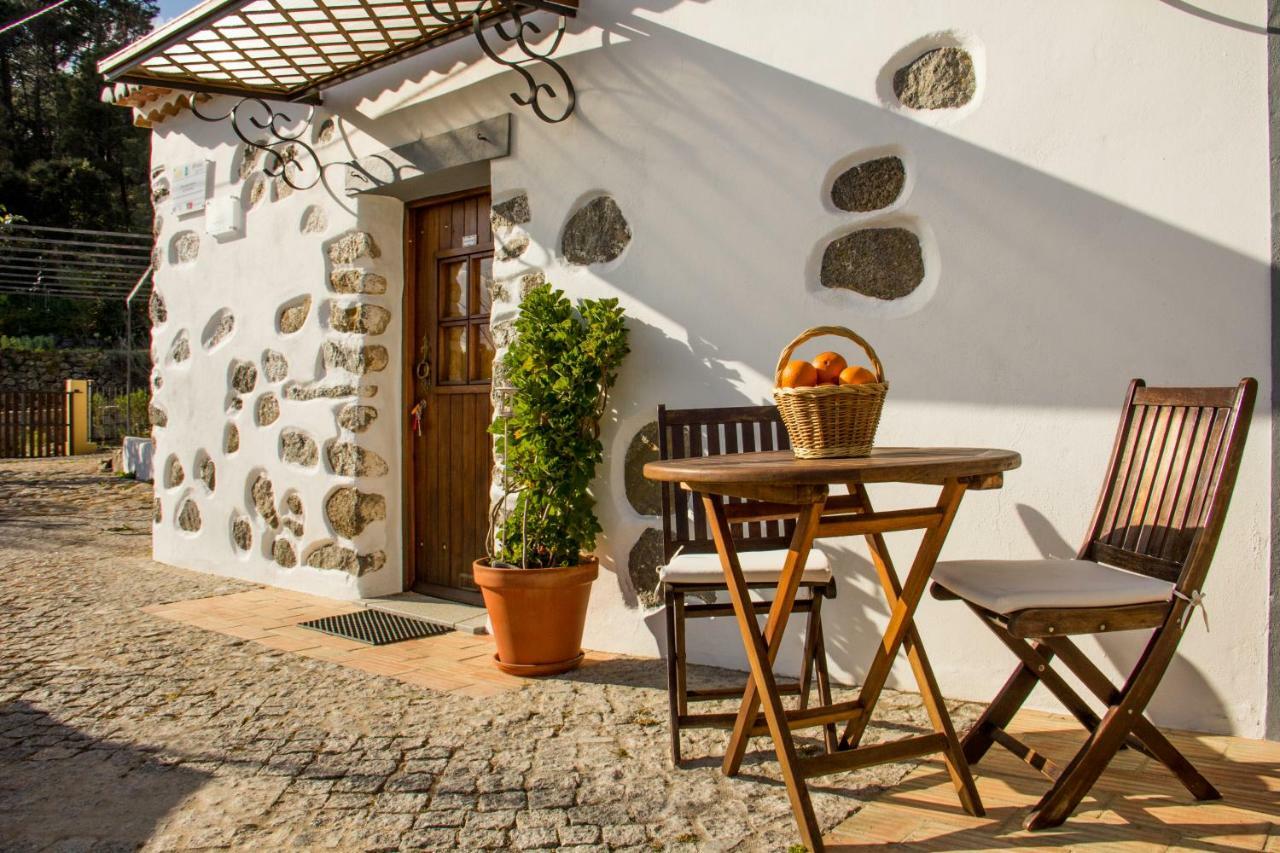 Quinta Do Tempo Turismo Rural 蒙希克 外观 照片